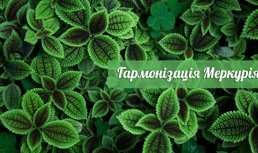 Практичні поради щодо гармонізації Меркурія